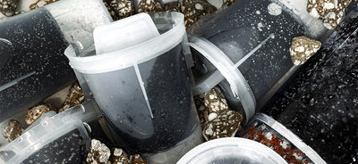 Closeup of Santevia''s 5-stage Filter, Fluoride Filter, and MINA Filter