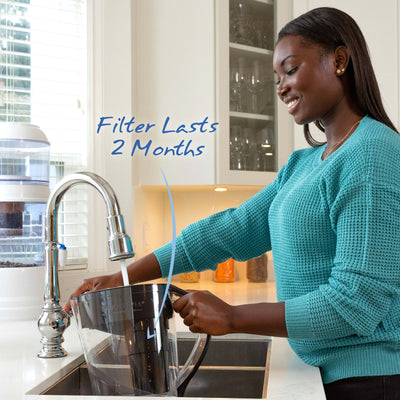 The Santevia MINA Alkaline Pitcher filters will last for 2 months#color_black