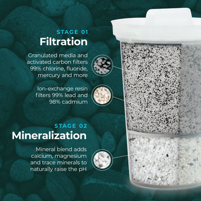 The Santevia MINA Alkaline Pitcher filter cutaway showing the granulated activated carbon and minerals within the filter#color_white